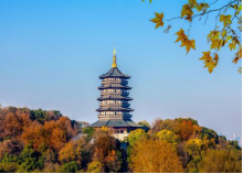 KY平台|西北碳化硅|绿碳化硅|黑碳化硅|碳化硅微粉|碳化硅颗粒|炼钢用碳化硅