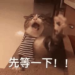 KY平台|西北碳化硅|绿碳化硅|黑碳化硅|碳化硅微粉|碳化硅颗粒|炼钢用碳化硅