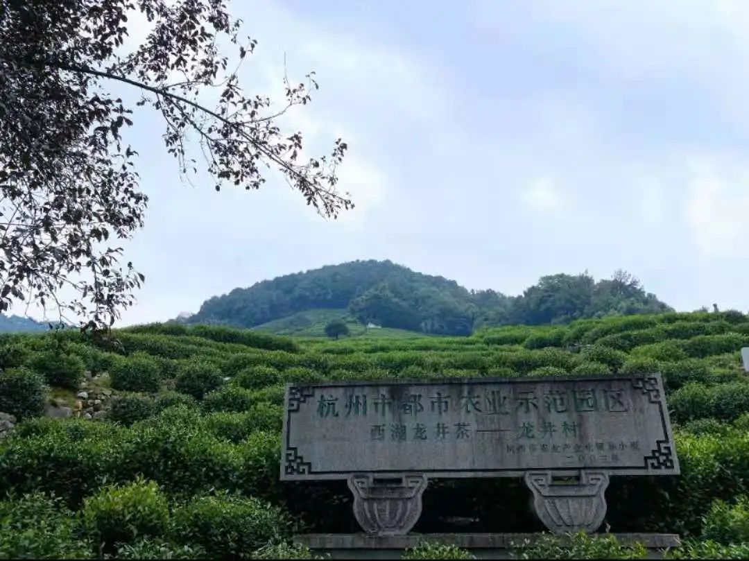 KY平台|西北碳化硅|绿碳化硅|黑碳化硅|碳化硅微粉|碳化硅颗粒|炼钢用碳化硅