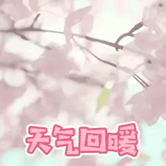 KY平台|西北碳化硅|绿碳化硅|黑碳化硅|碳化硅微粉|碳化硅颗粒|炼钢用碳化硅