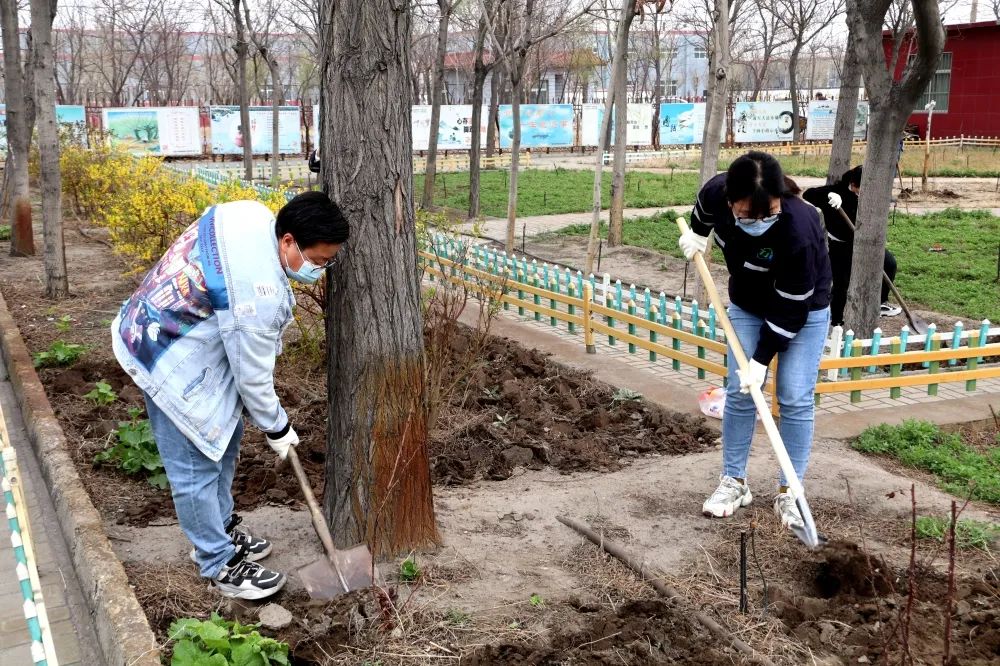 KY平台|西北碳化硅|绿碳化硅|黑碳化硅|碳化硅微粉|碳化硅颗粒|炼钢用碳化硅