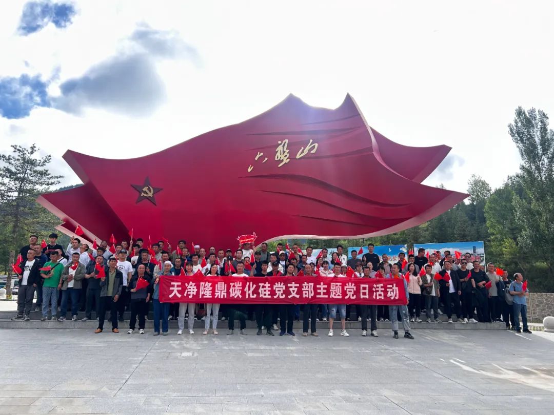 KY平台|西北碳化硅|绿碳化硅|黑碳化硅|碳化硅微粉|碳化硅颗粒|炼钢用碳化硅