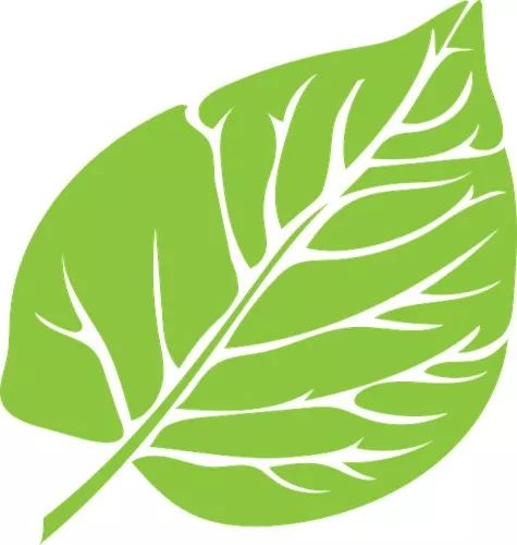 KY平台|西北碳化硅|绿碳化硅|黑碳化硅|碳化硅微粉|碳化硅颗粒|炼钢用碳化硅